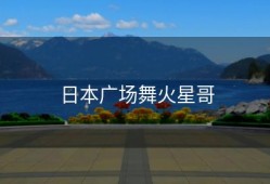 日本广场舞火星哥