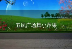 五凤广场舞小萍果