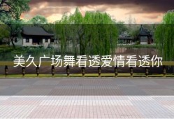 美久广场舞看透爱情看透你