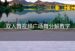 双人舞视频广场舞分解教学