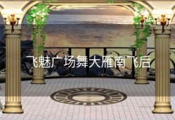 飞魅广场舞大雁南飞后