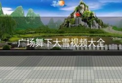 广场舞下大雪视频大全
