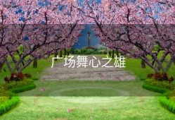 广场舞心之雄