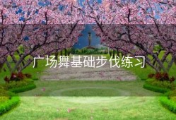 广场舞基础步伐练习