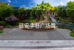 延安李巷广场舞