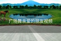 广场舞亲爱的朋友视频