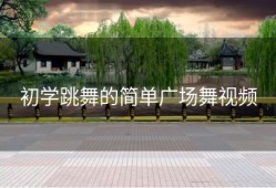 初学跳舞的简单广场舞视频