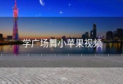 学广场舞小苹果视频