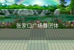 张家口广场舞团体