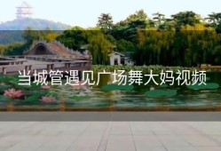 当城管遇见广场舞大妈视频