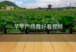 芊芊广场舞好看视频