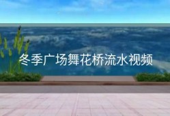 冬季广场舞花桥流水视频
