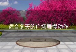 适合冬天的广场舞慢动作