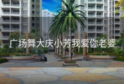 广场舞大庆小芳我爱你老婆