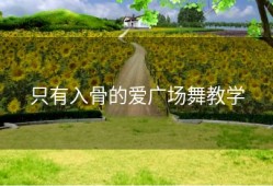 只有入骨的爱广场舞教学