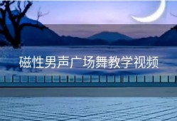 磁性男声广场舞教学视频