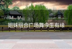 姐妹组合广场舞今生有缘