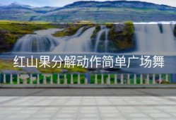 红山果分解动作简单广场舞