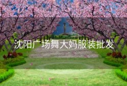 沈阳广场舞大妈服装批发