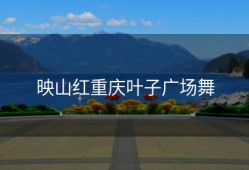 映山红重庆叶子广场舞