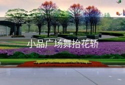 小品广场舞抬花轿