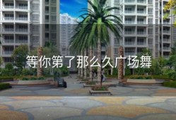 等你第了那么久广场舞