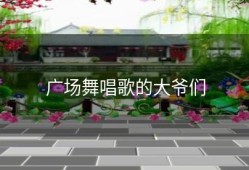 广场舞唱歌的大爷们