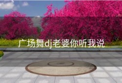 广场舞dj老婆你听我说