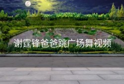 谢霆锋爸爸跳广场舞视频