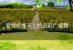 爱情就像天上的云彩广场舞