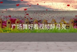 广场舞好看视频醉月亮