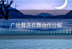 广场舞洗衣舞动作分解