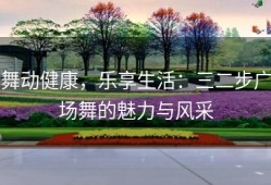 舞动健康，乐享生活：三二步广场舞的魅力与风采