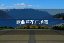 歌曲芦花广场舞
