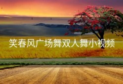 笑春风广场舞双人舞小视频