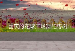 喜庆的花球广场舞红枣树