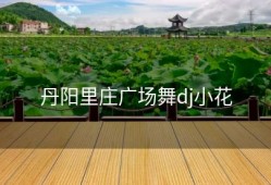 丹阳里庄广场舞dj小花