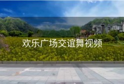 欢乐广场交谊舞视频