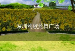 深圳莺歌燕舞广场