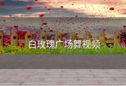 白玫瑰广场舞视频