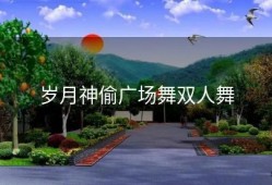 岁月神偷广场舞双人舞