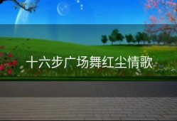 十六步广场舞红尘情歌