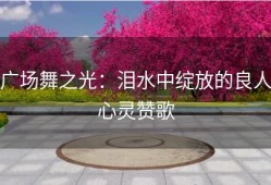 广场舞之光：泪水中绽放的良人心灵赞歌