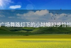 广场舞路灯下的小姑娘32步恰恰