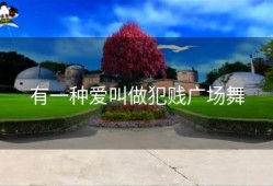 有一种爱叫做犯贱广场舞