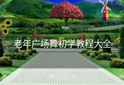 老年广场舞初学教程大全