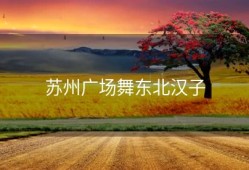 苏州广场舞东北汉子