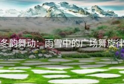 冬韵舞动：雨雪中的广场舞旋律