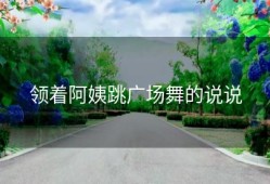 领着阿姨跳广场舞的说说