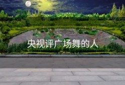 央视评广场舞的人